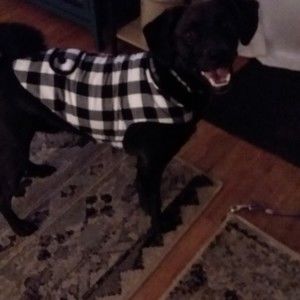 Meet your Posher, Gwen